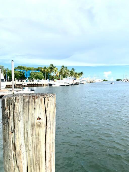 Groveo5 10 Minutes From Miami Beach Luaran gambar